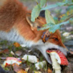 Meet your Posher, Mariela